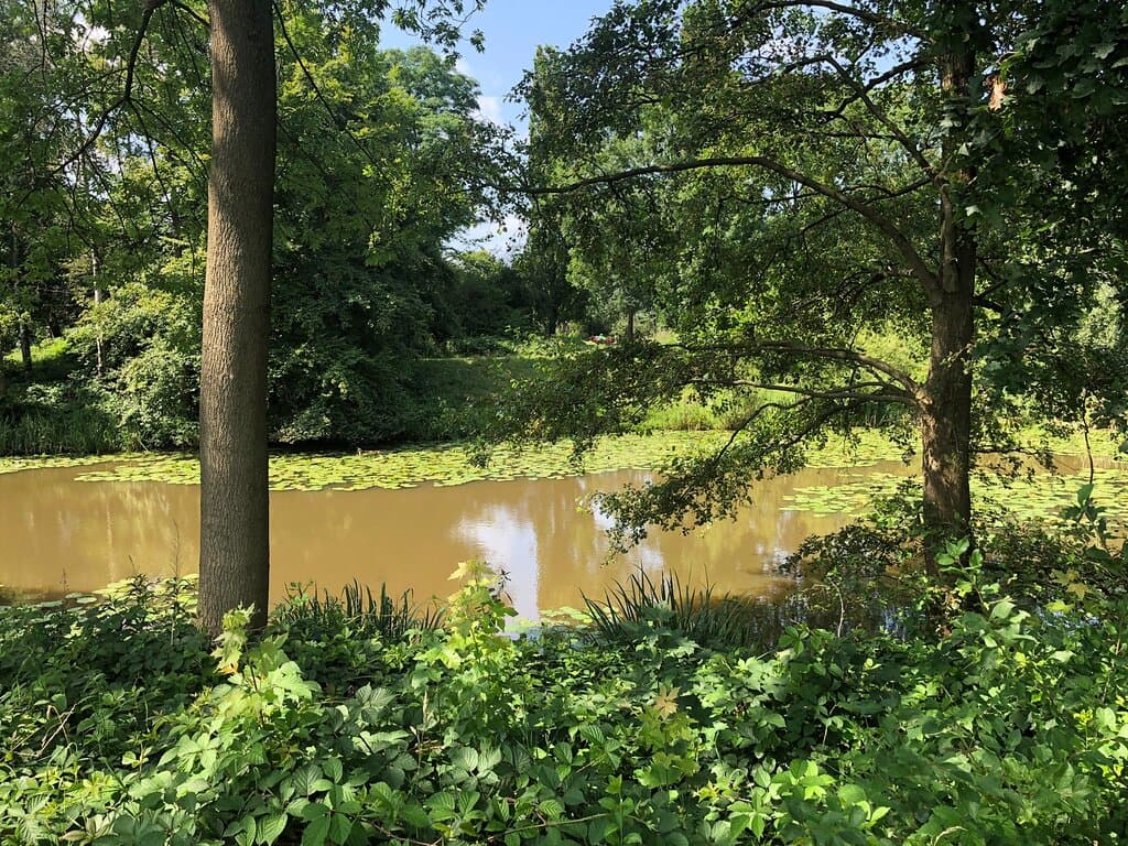 Waterpartijen en bruggetjes