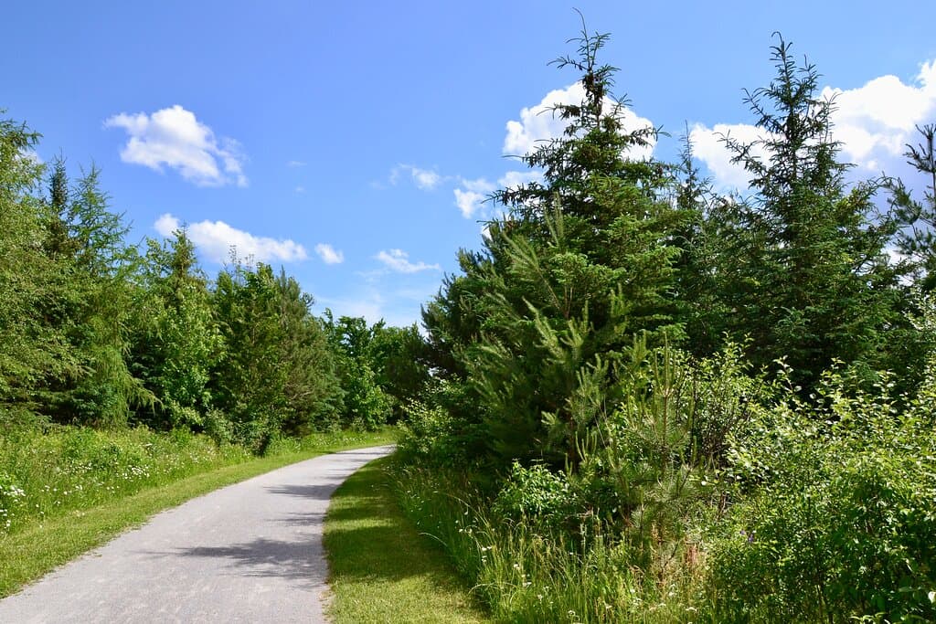Walking trail south of Wellington Street