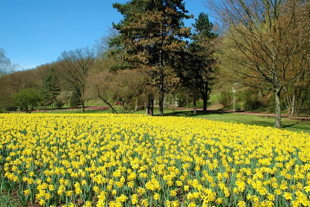 Auch im Herbst immer einen Abstecher wert: Der DFG in Saarbrücken.
