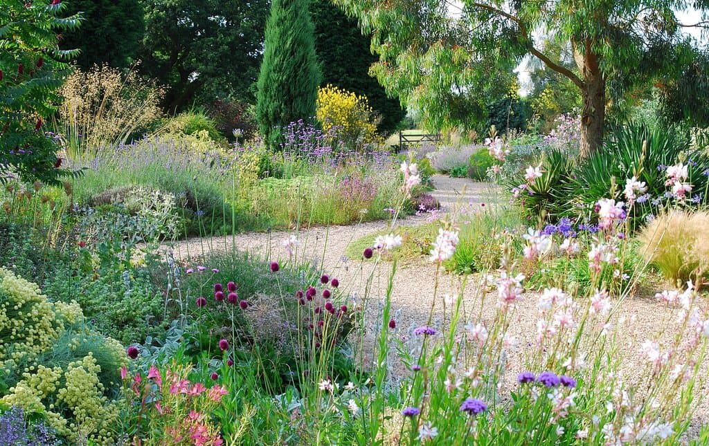 The Gravel Garden in summer
