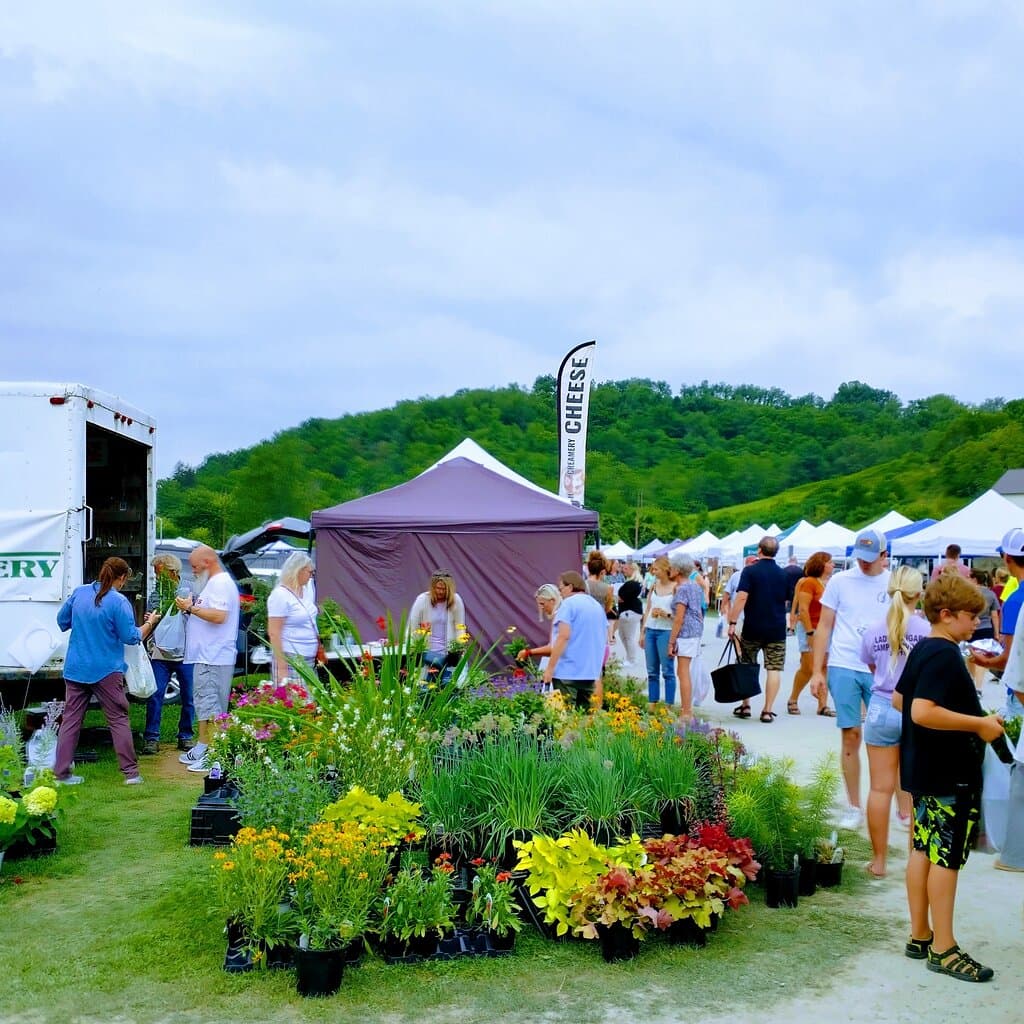 Ligoner country market