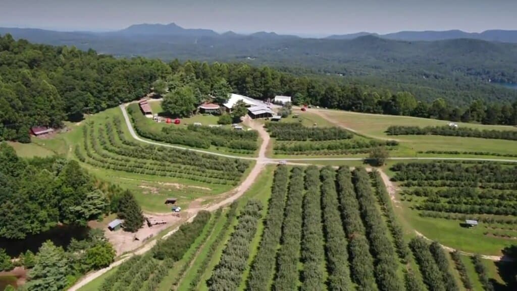 They don't call us Sky Top Orchard for nothing. We sit atop Mt. McAlpine and from this vantage, you can see panoramic views for miles. There are acres to explore and enjoy.