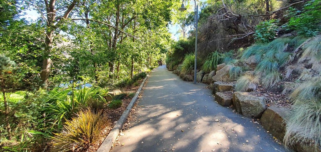 Zig Zag Reserve & Lookout