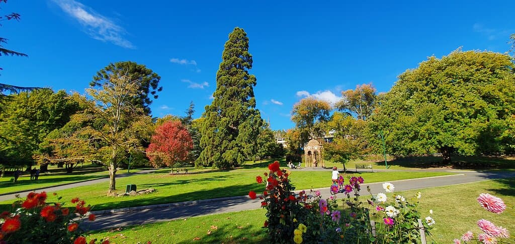 City Park
