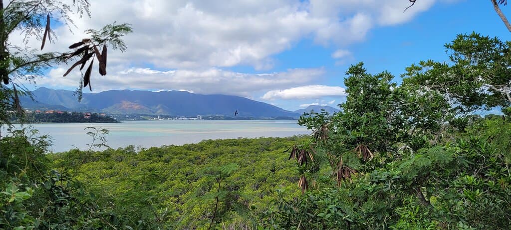 Tina Mangrove Trail