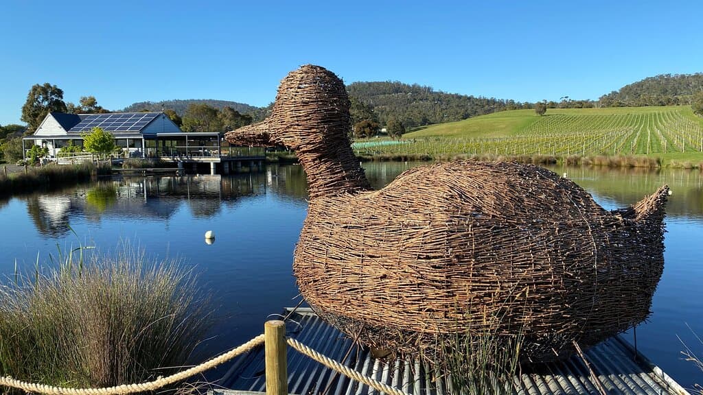 Morrison our giant vine woven duck is ready and waiting to greet you on arrival.