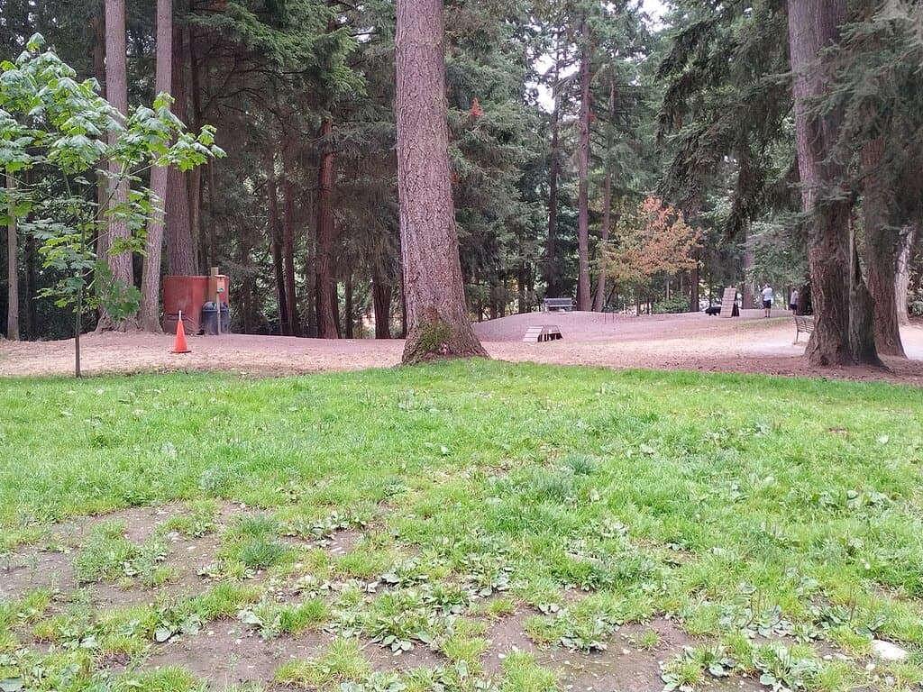 French Lake off-leash dog park, Federal Way, Washington