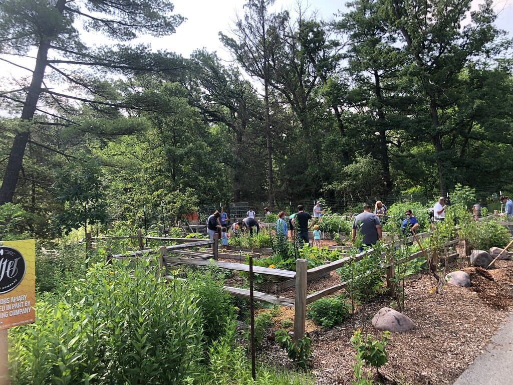 Surprising variety of flora and fauna in small parcel of land