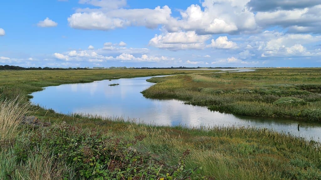 Pagham Harbour Nature Reserve