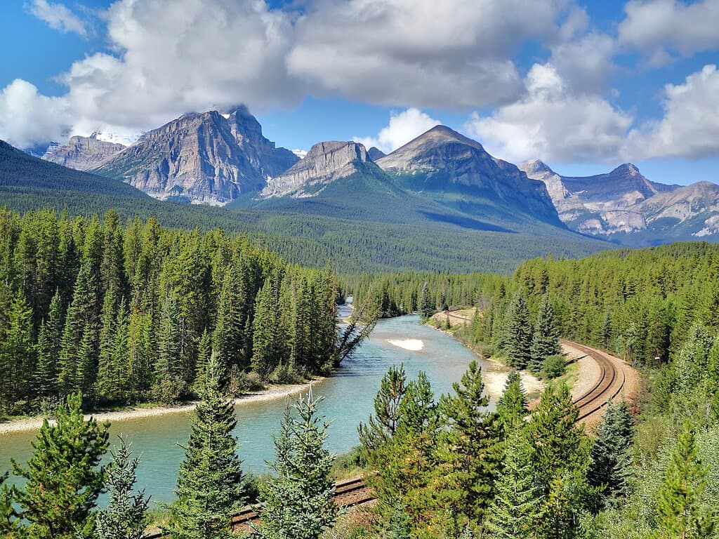 Morant's Curve