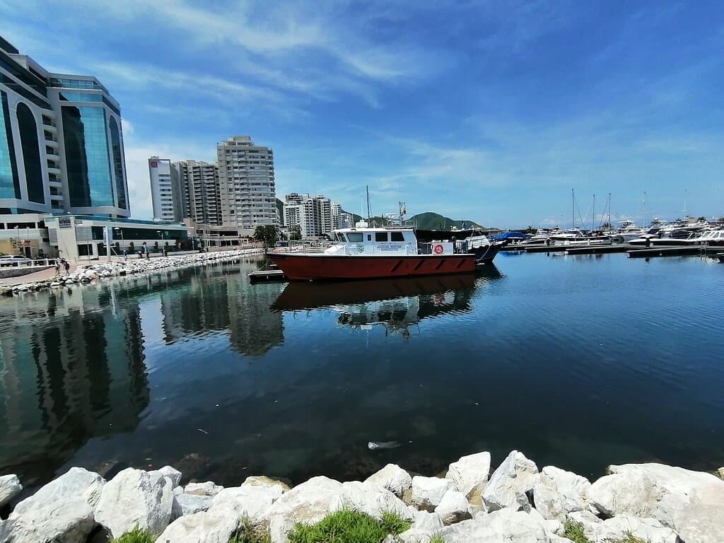 Vista general del Muelle de la Marina.