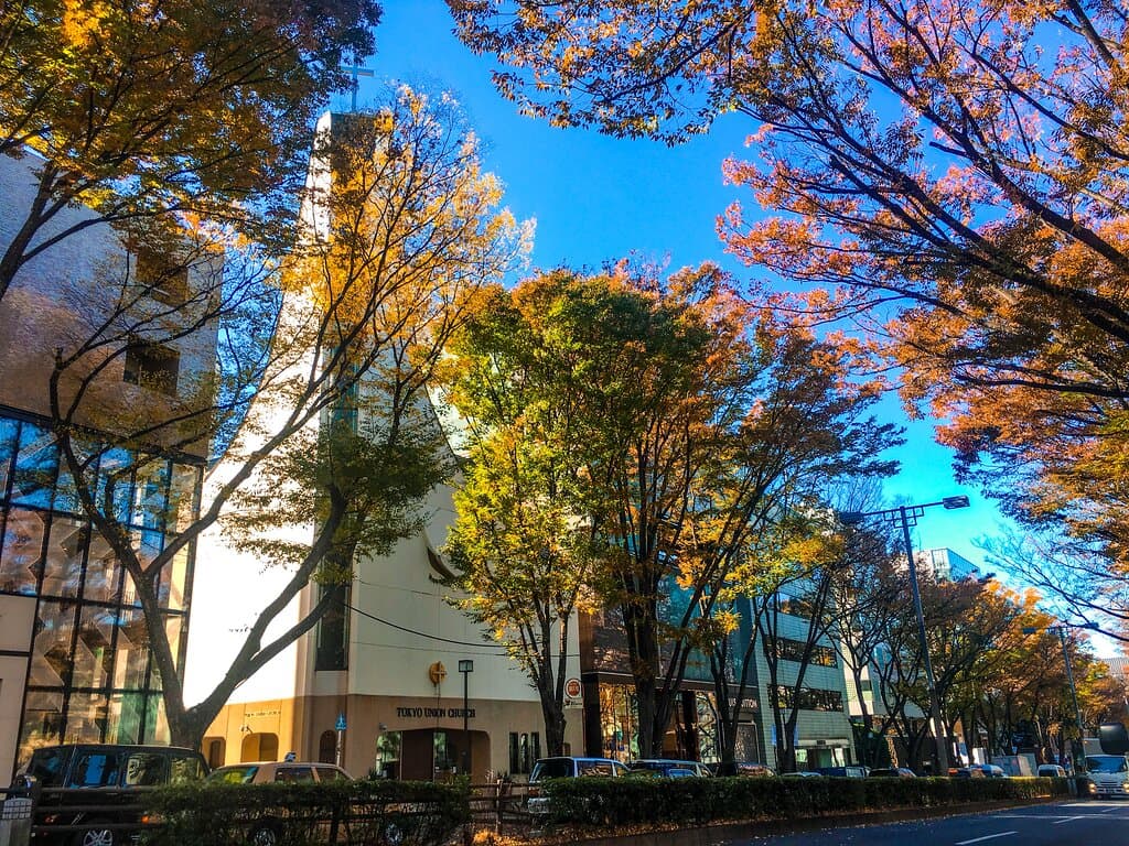 Autumn TUC