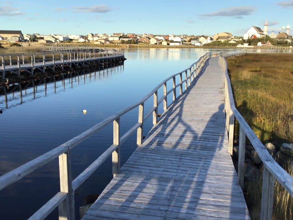 Old Day's Pond Boardwalk