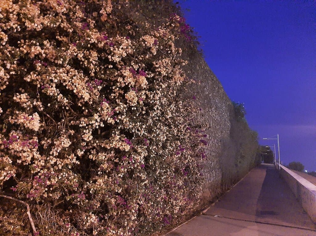 Parc de Turó Caritg