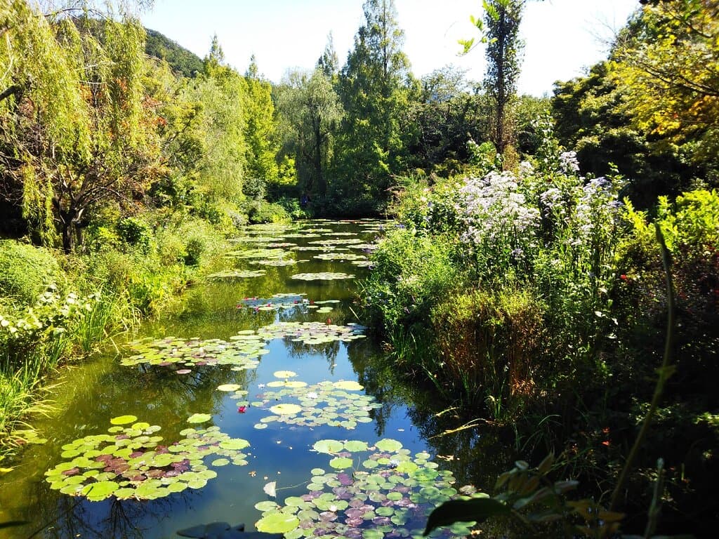 Monet’s Garden Marmottan Kitagawa