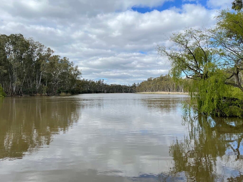 Gunbower National Park