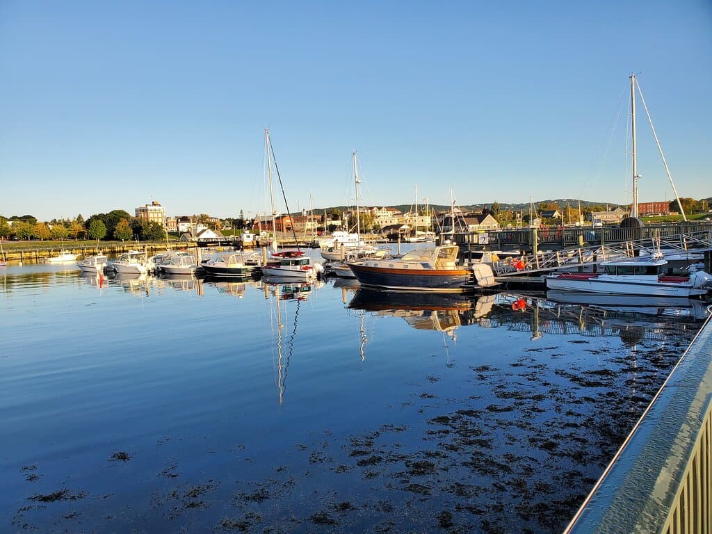 boats in the harbor
