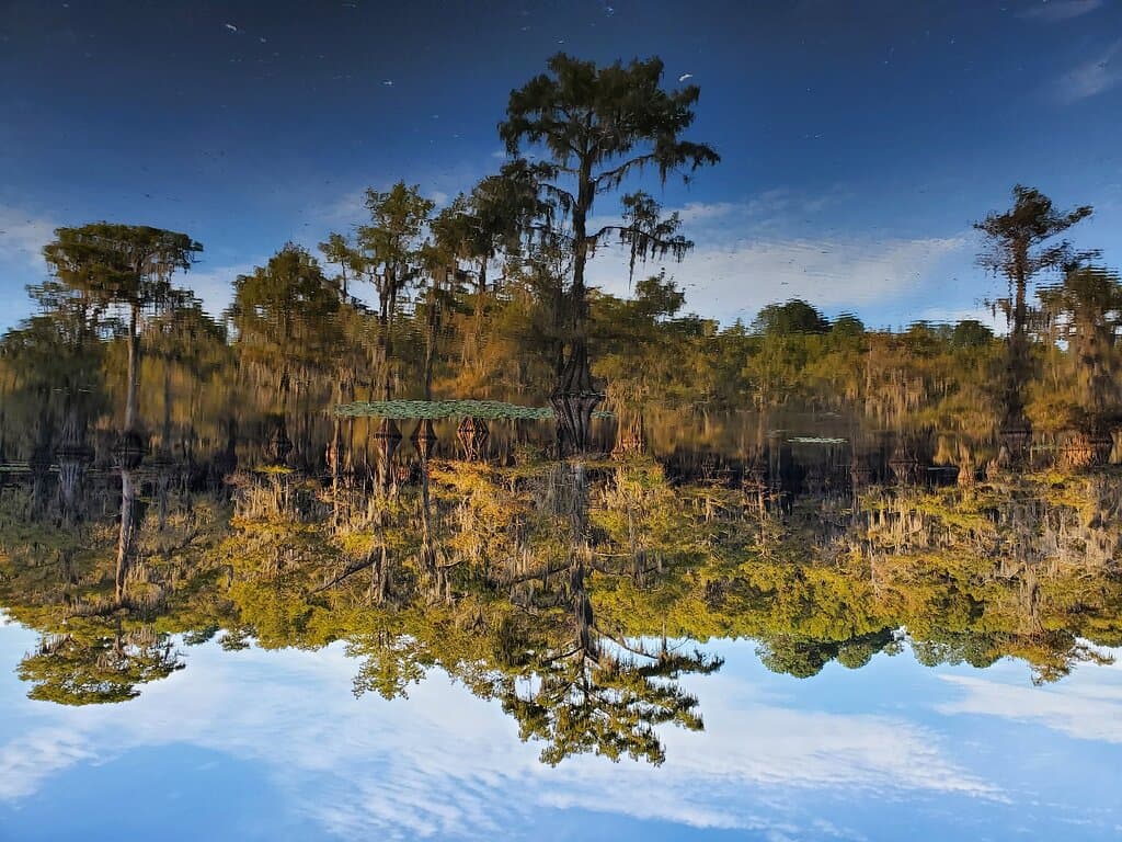 Caddo Lake National Wildlife Refuge