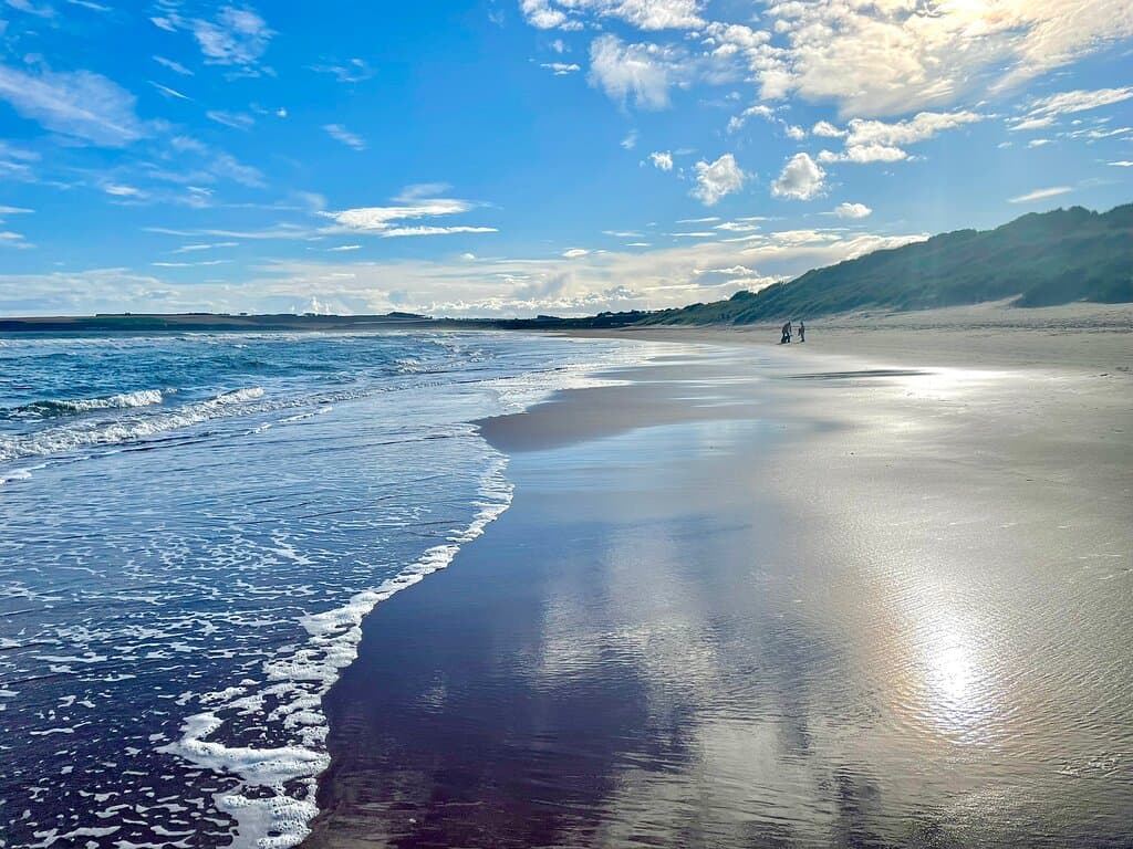 Polished  🌊  shores.