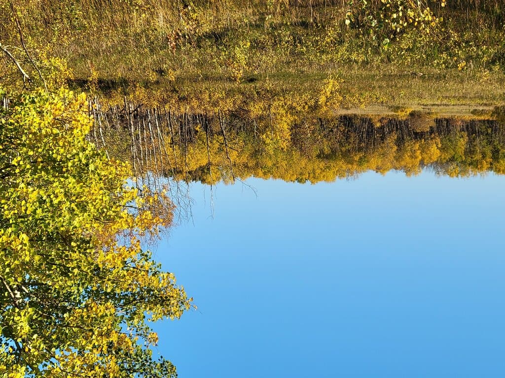 Assiniboine Forest Winnipeg