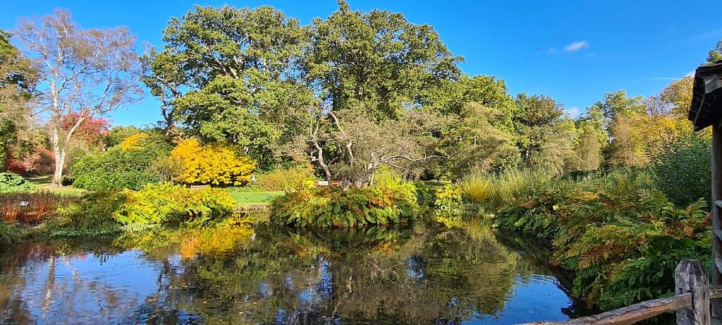 Savill Garden Windsor