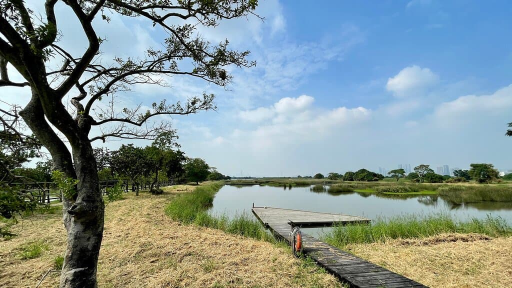 Mai Po is a great place to visit, walking in Nature! 