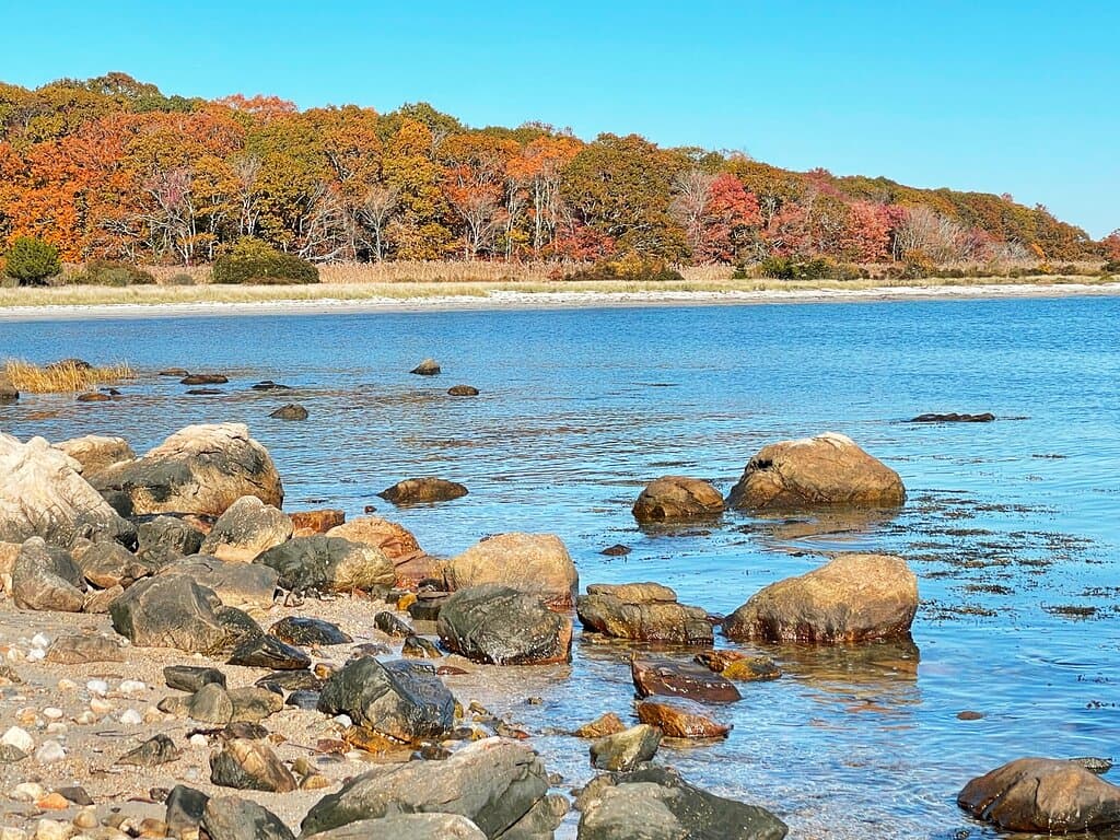 Coastline on the East Nov. 2021