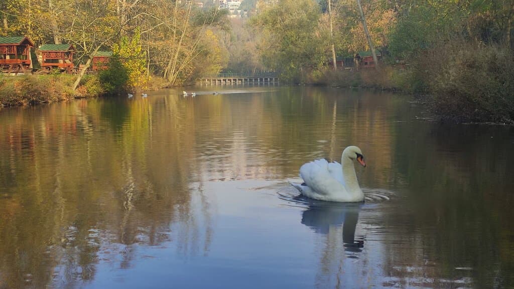 Değirmen boğazı tabiat parkı