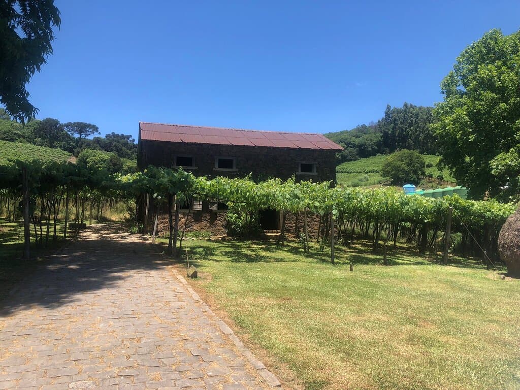 Cantina Strapazzon