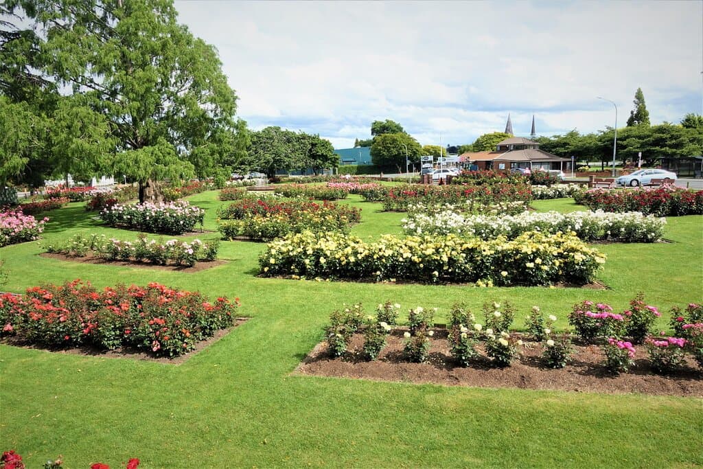 Te Awamutu Rose Gardens