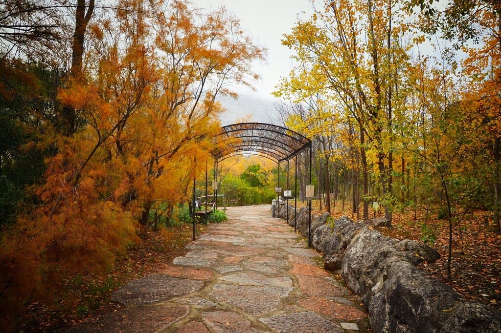 Jardín Micológico La Trufa Zagrilla