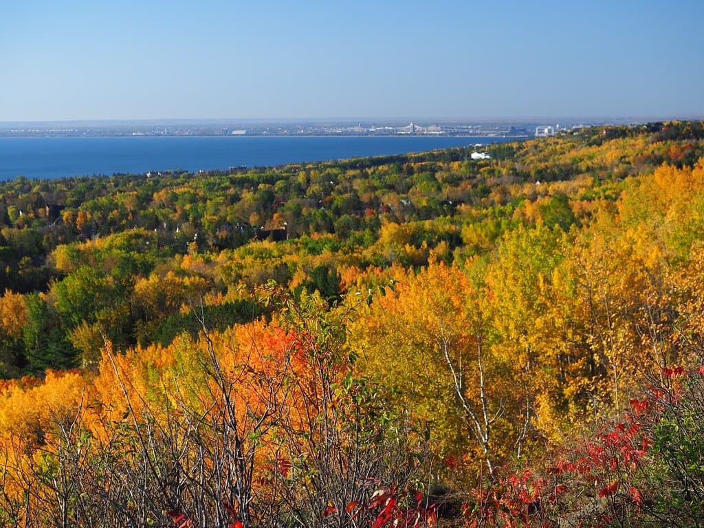 Definitely check it out during the fall. Bring binoculars (and your biggest zoom lens)