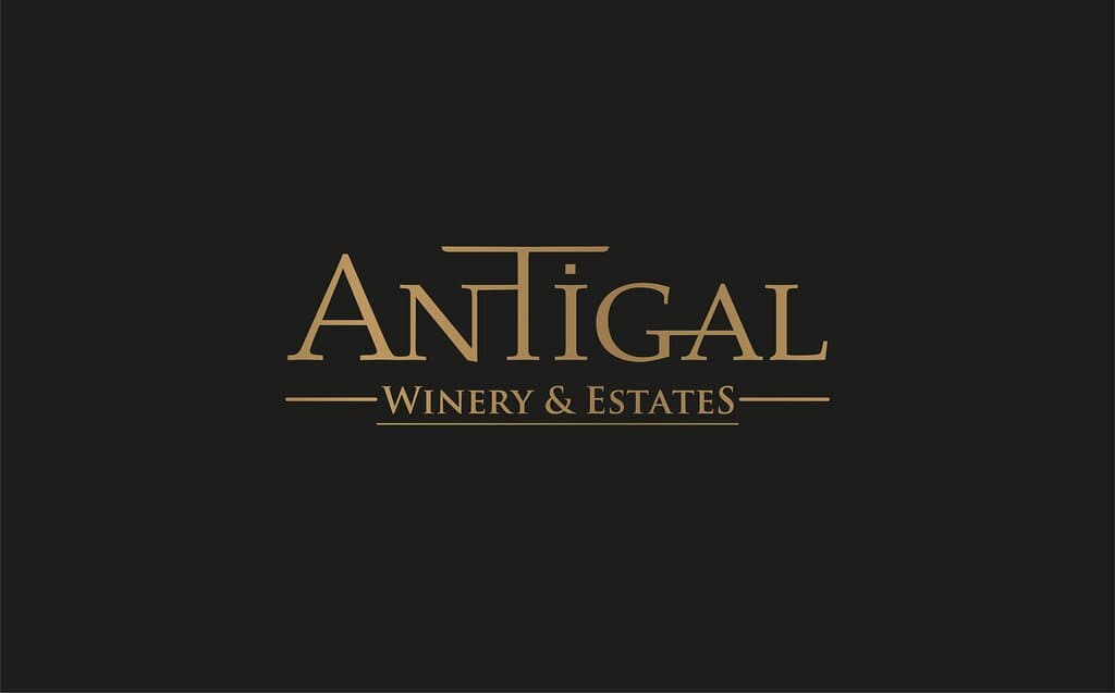 Descubre una nueva experiencia en vinos de alta gama.