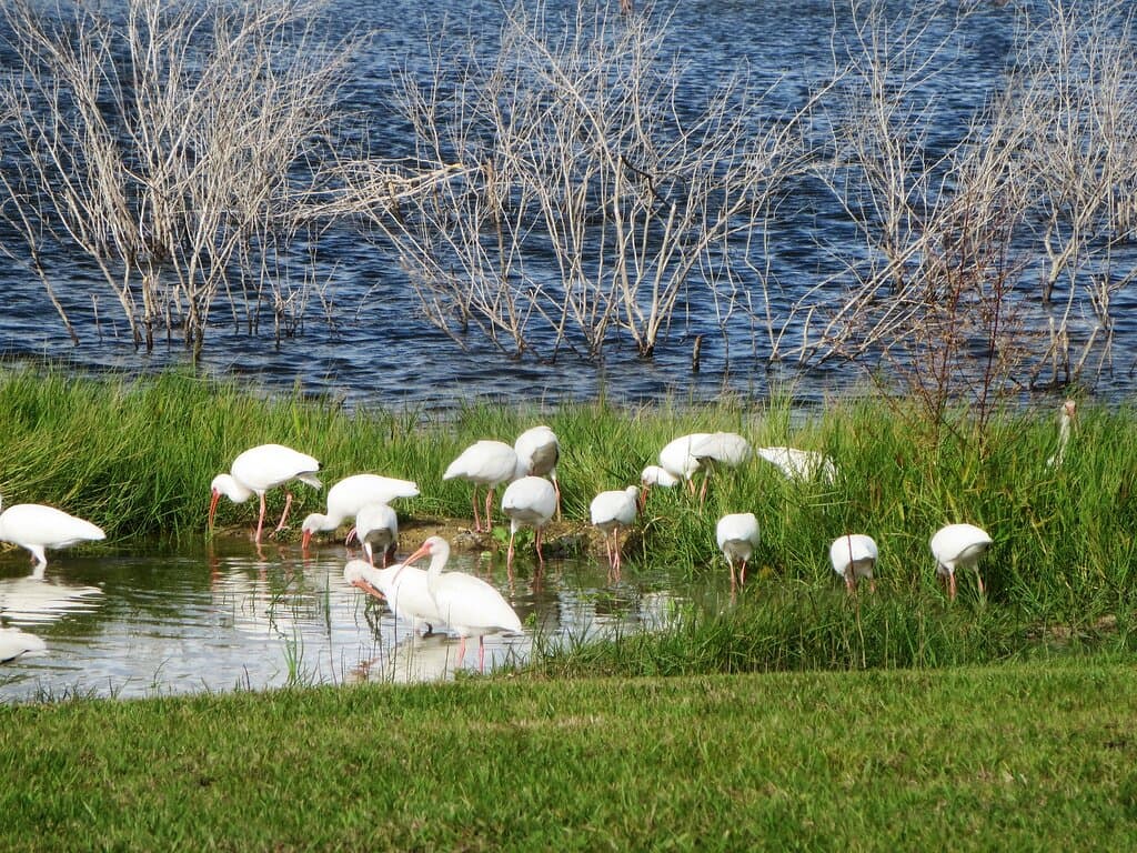 Arlington Ridge Golf Course - Very Nice