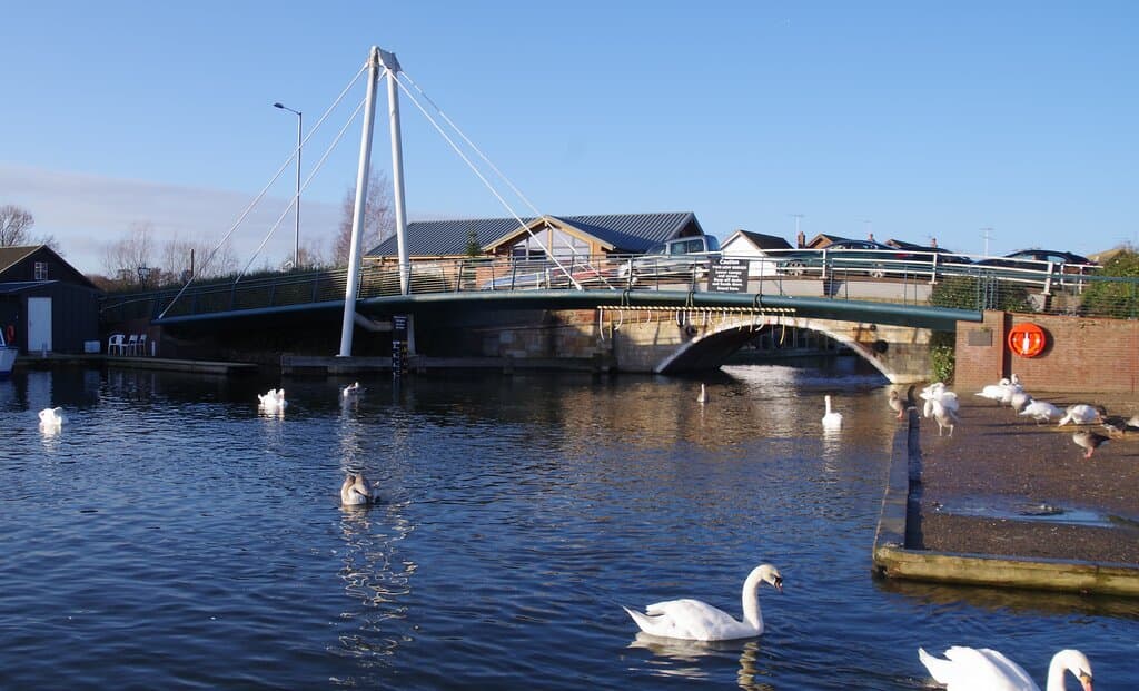 The Bridge