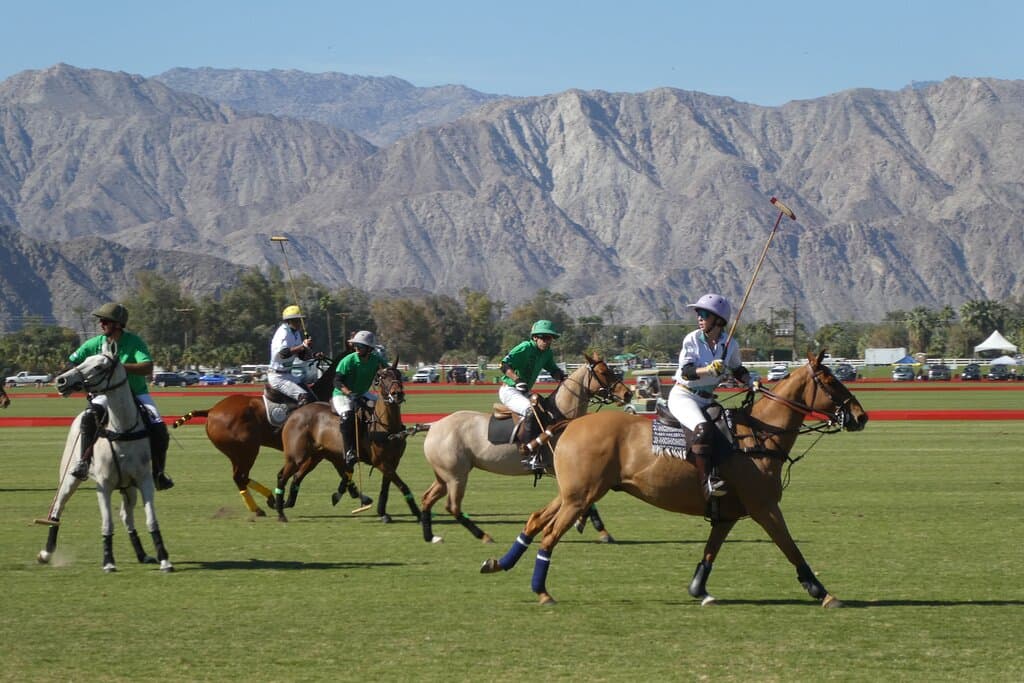 Polo view from the cantina.