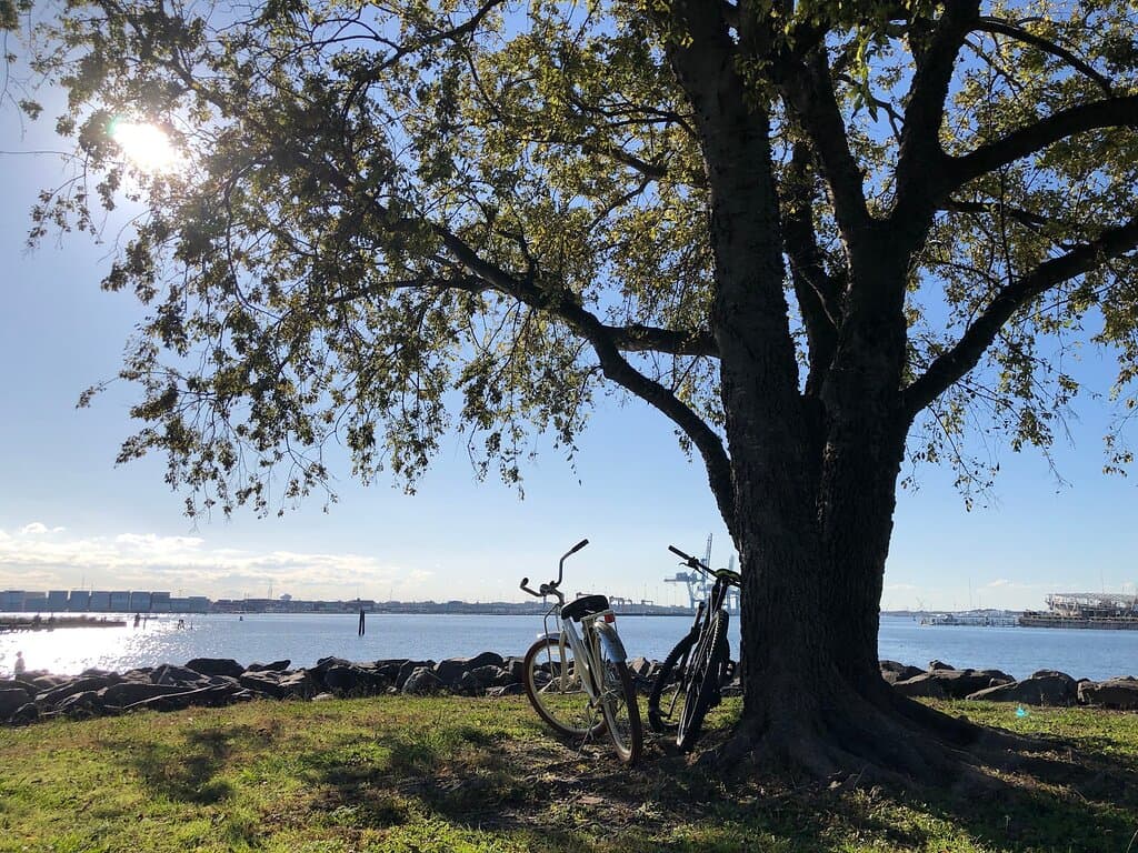 Bike to PLum point park along the ERT.