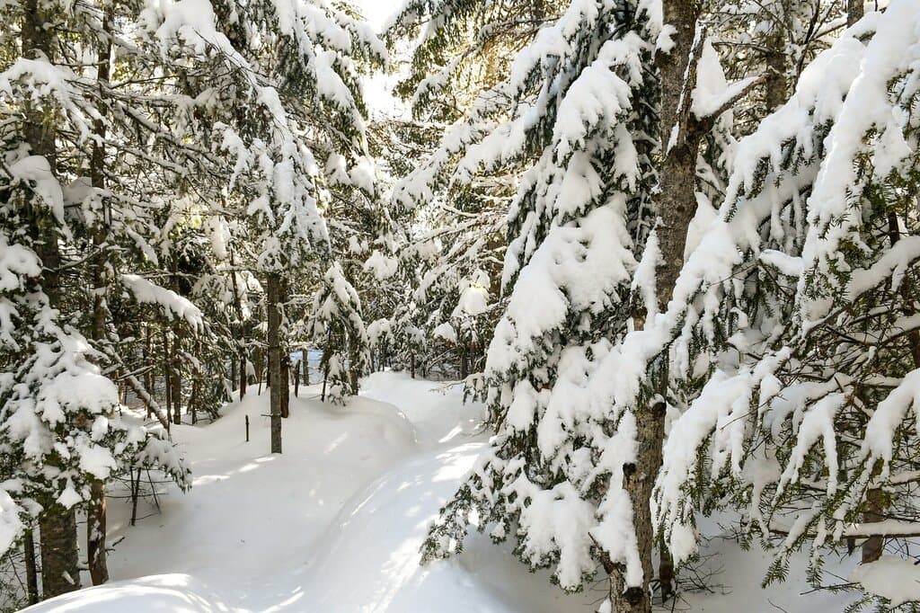 Les Sources Joyeuses