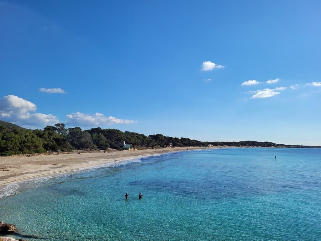 Parque Natural de Ses Salines