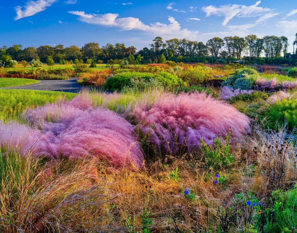 Photo by Ray Bojarski