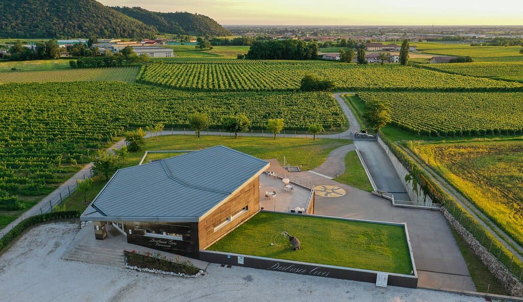 Cantina con punto degustazione e terrazza con affaccio sulle vigne 