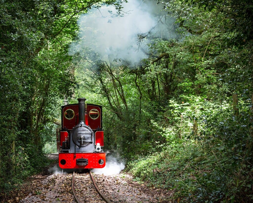 Steam engine Spirit in the woods