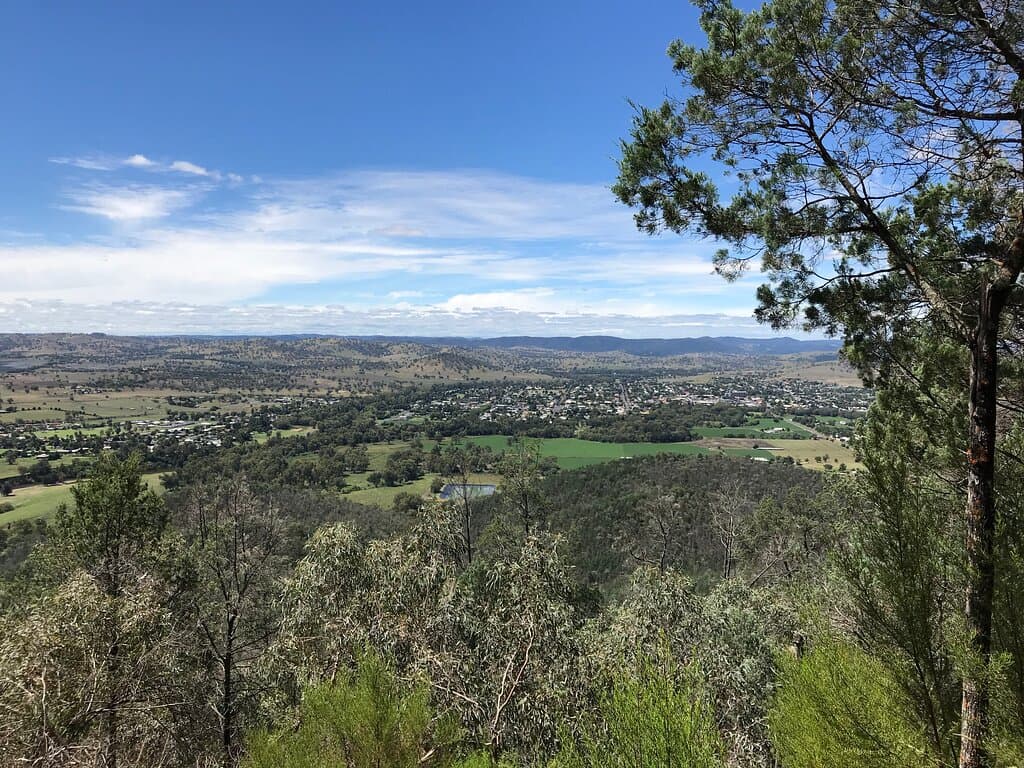 Mount Arthur Apex Nature Trail