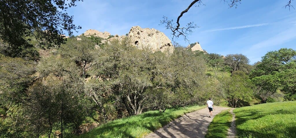 Mount Diablo State Park