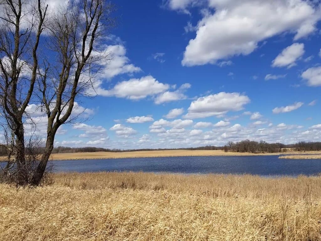 Murphy-Hanrehan Park Reserve