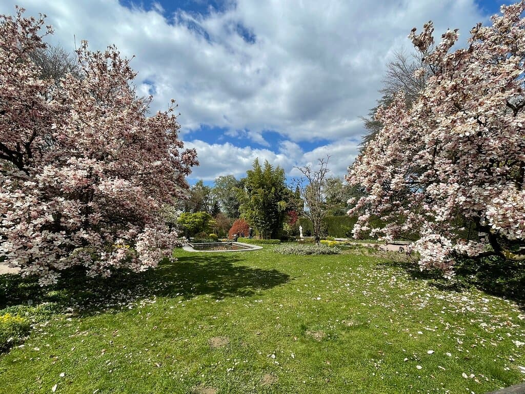 Botanical Garden Linz