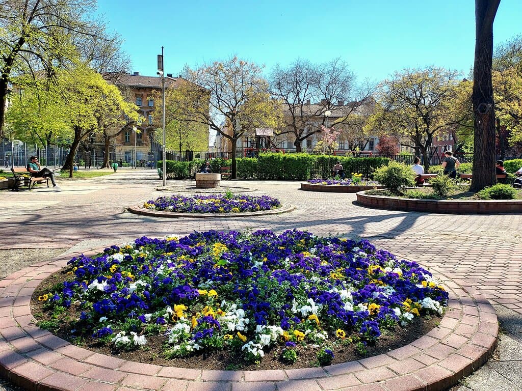 Flower borders in Klauzál tér - Budapest (13/Apr/22).