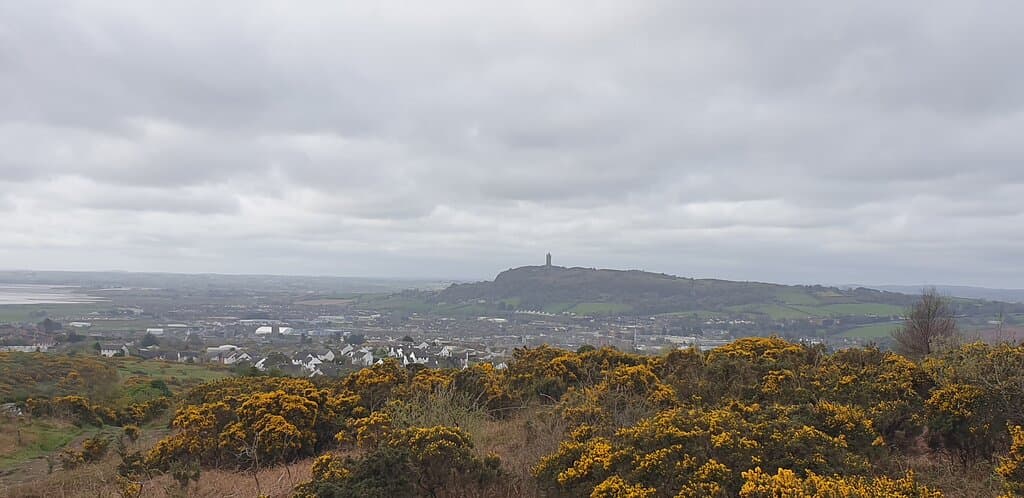 Views of Scrabo Tower