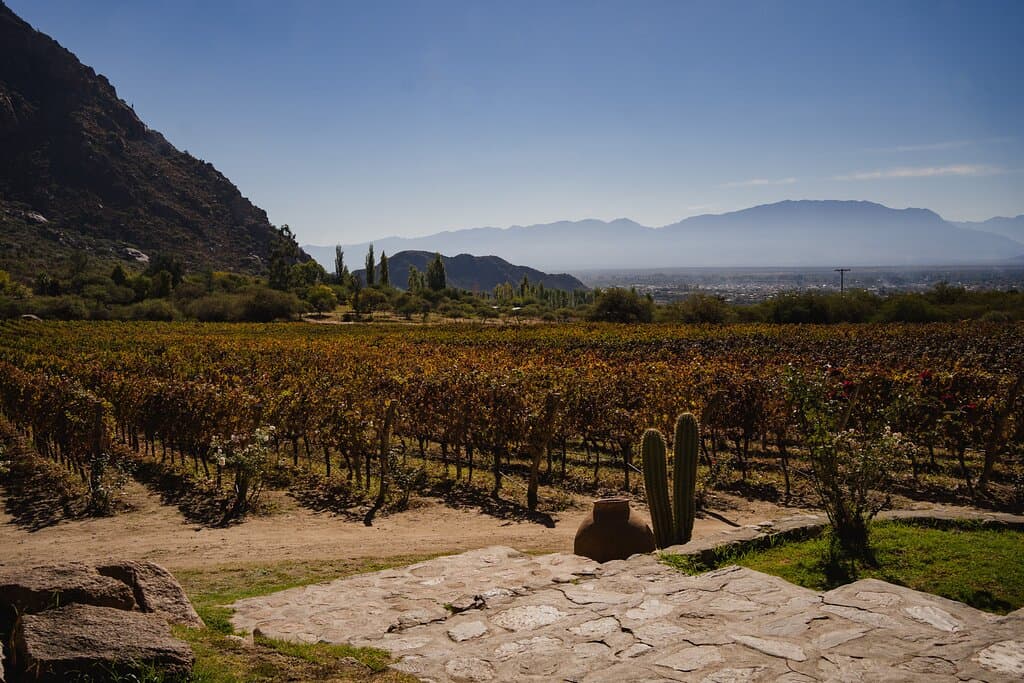 La vista desde Finca Las Nubes