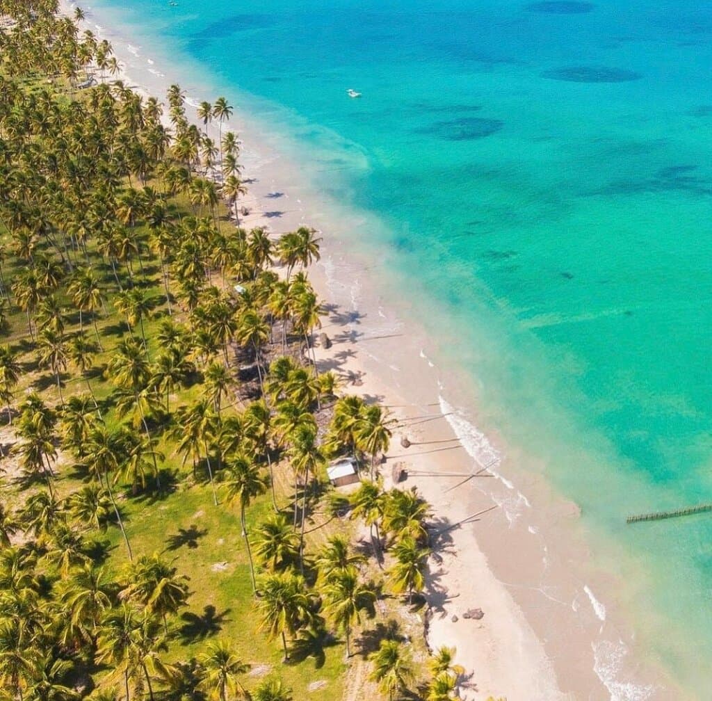 Vem se feliz vem comigo uhu _turismo Maceió al